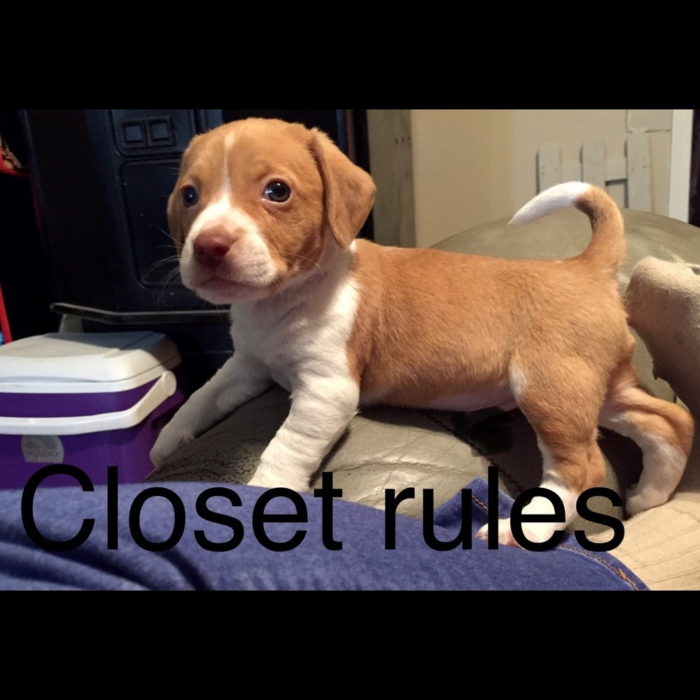 RULES of my CLOSET